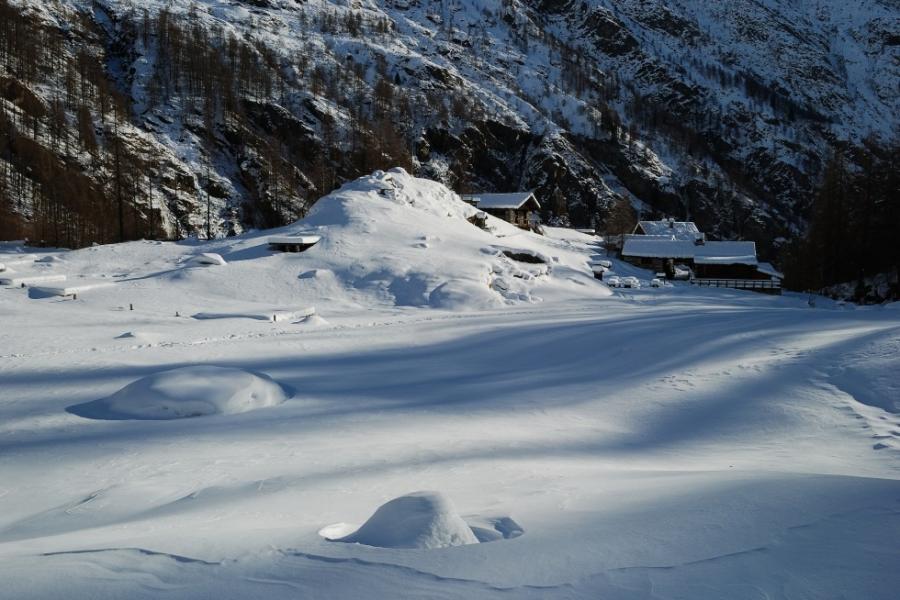 SNOWSHOEING – ALPE PILE