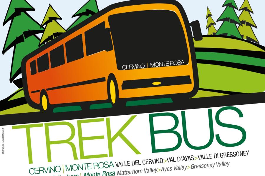 Trek Bus 