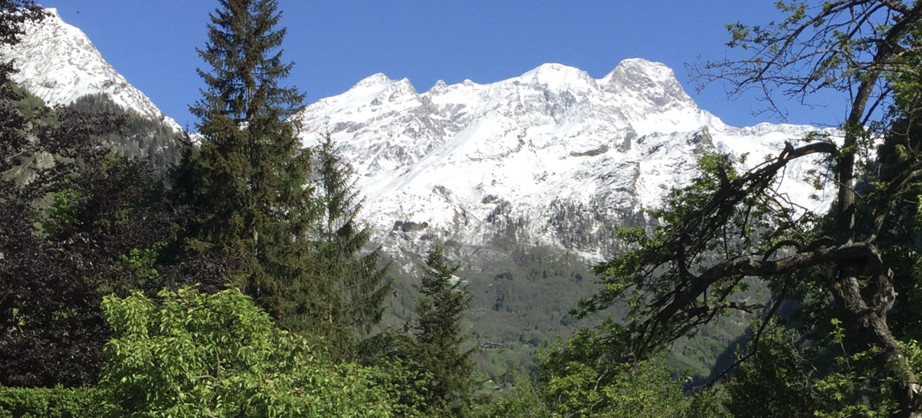 Le Mont Rose vu de notre jardin