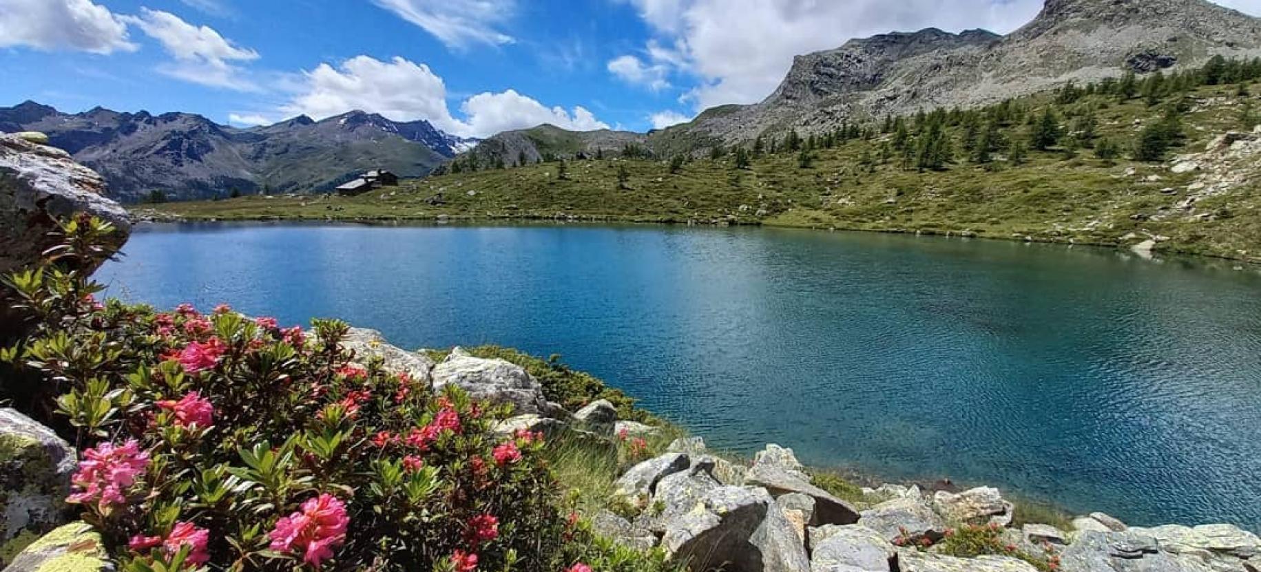 Vista sul lago muffe