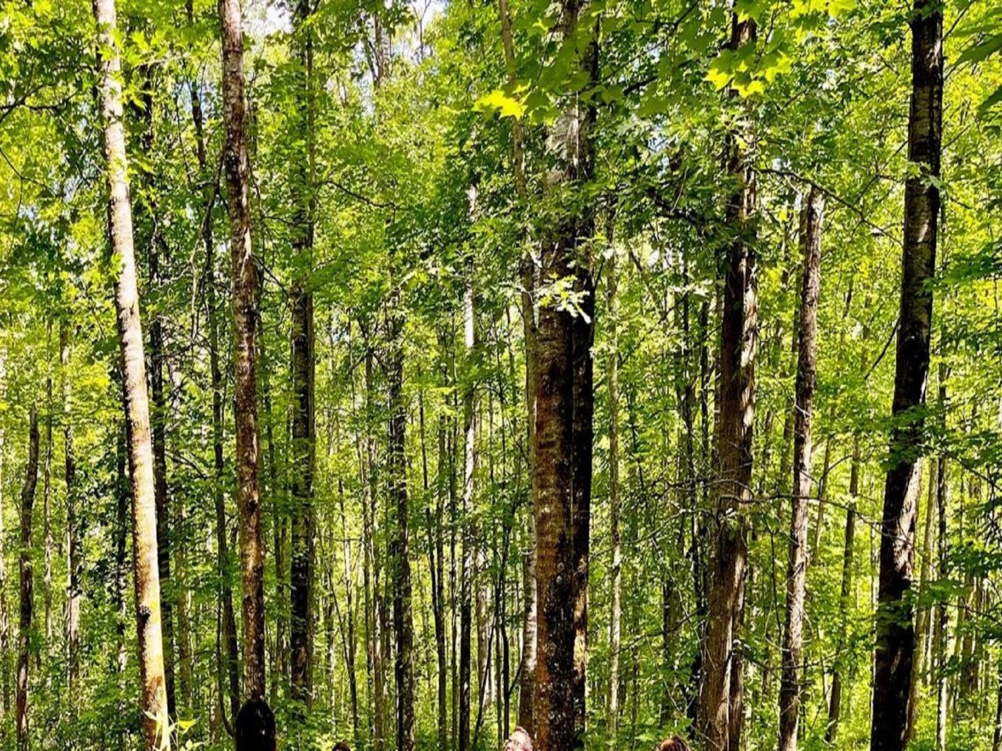 Camminando nell'incanto - Passeggiata Cosplay tra fiabe, miti e leggende