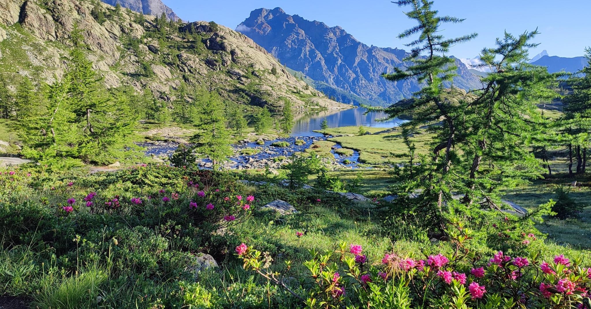 Rifugio barbustel