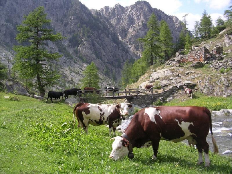 Val dell’Alleigne
