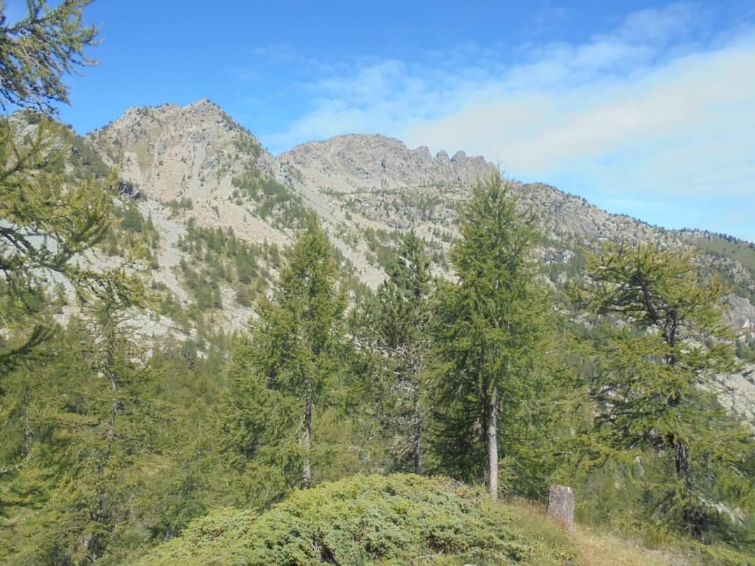 Menhir