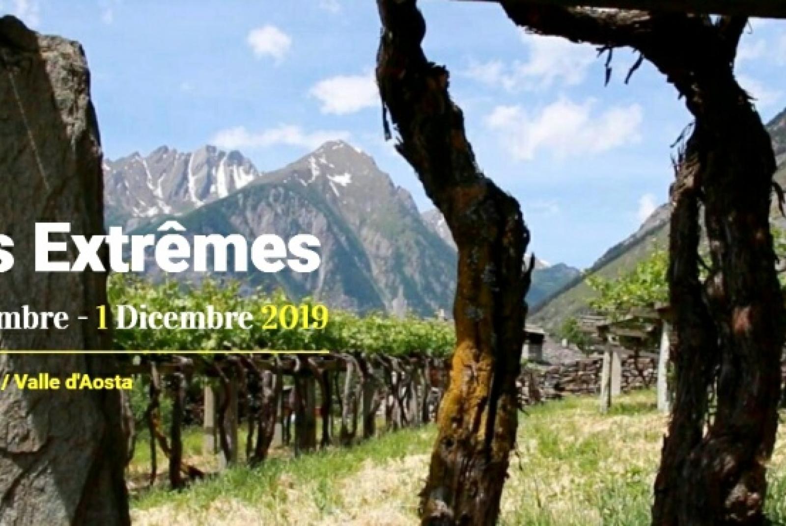 Vins Extrêmes