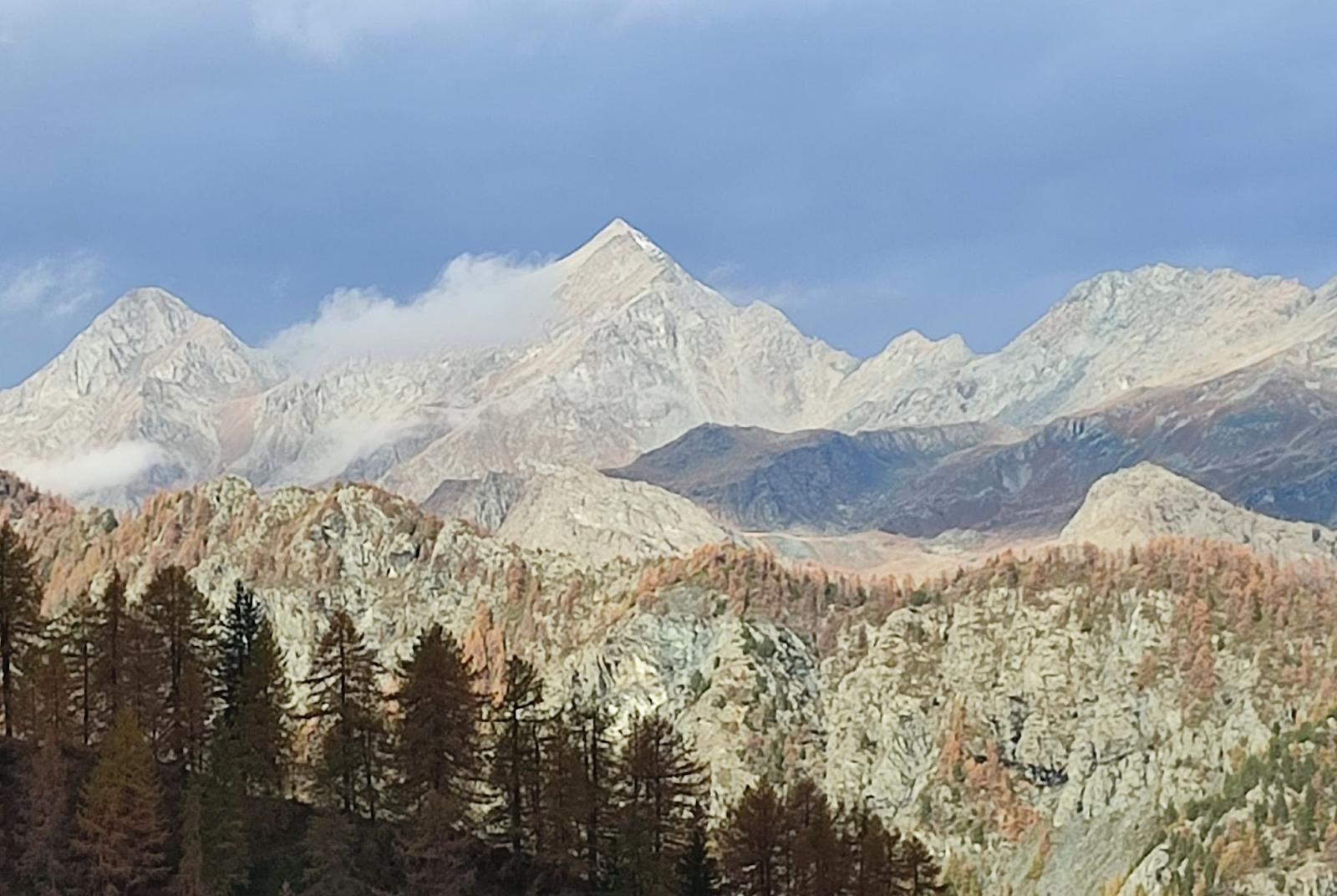 Monte Giavin